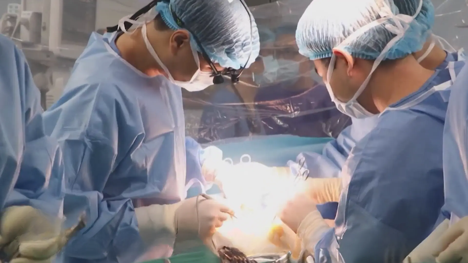 300 ca ghép gan – hành trình nối dài sự sống